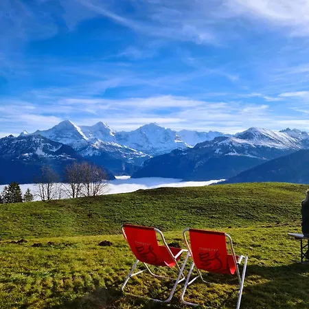 Alpine Apartment Beatenberg