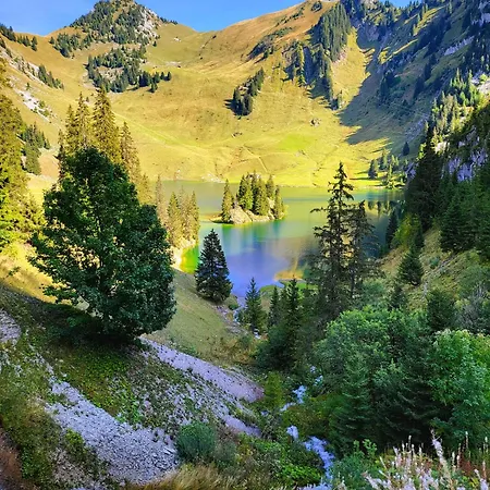 Alpine * Beatenberg